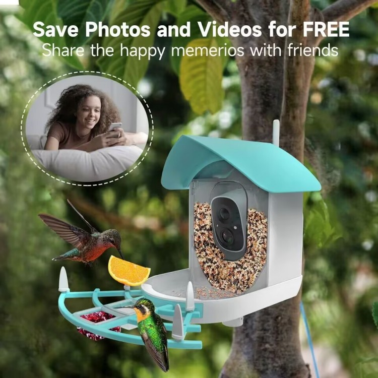 Bird Feeder Bowl