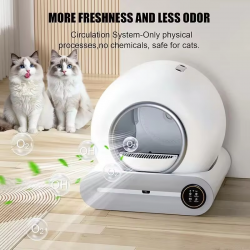 Litter Box