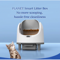 Cat Litter Box