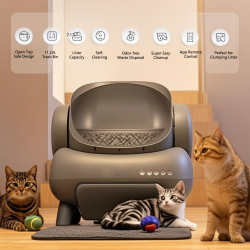 Cat Litter Box
