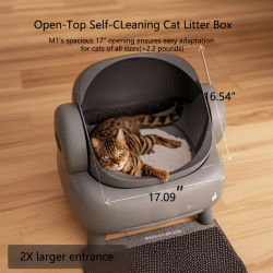 Litter Box