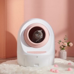 Cleaning Litter Box