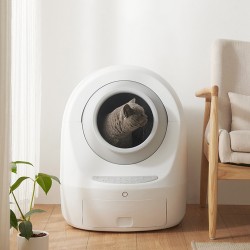 Litter Box