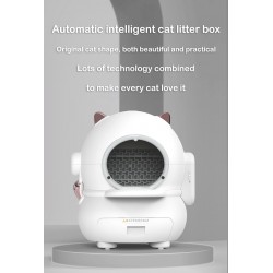 Cat Box