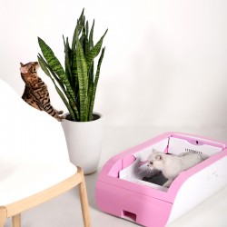 Self-Cleaning Cat Toilet