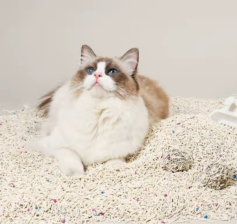 Bulk Tofu Cat Litter