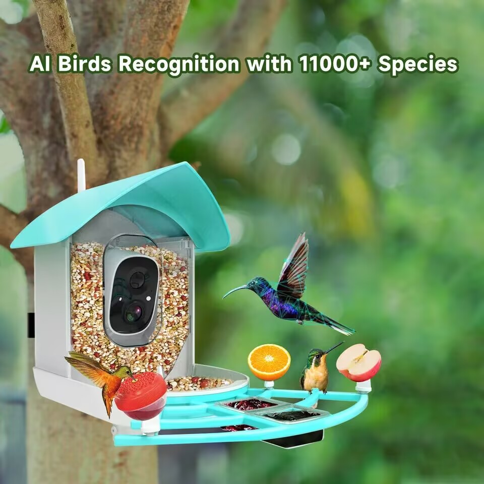 Smart Bird Feeder Bowl