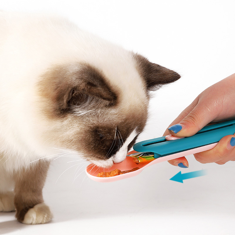 Custom Feeder Cat Spoon