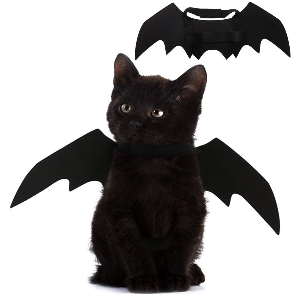 Custom Cat Bat Costume