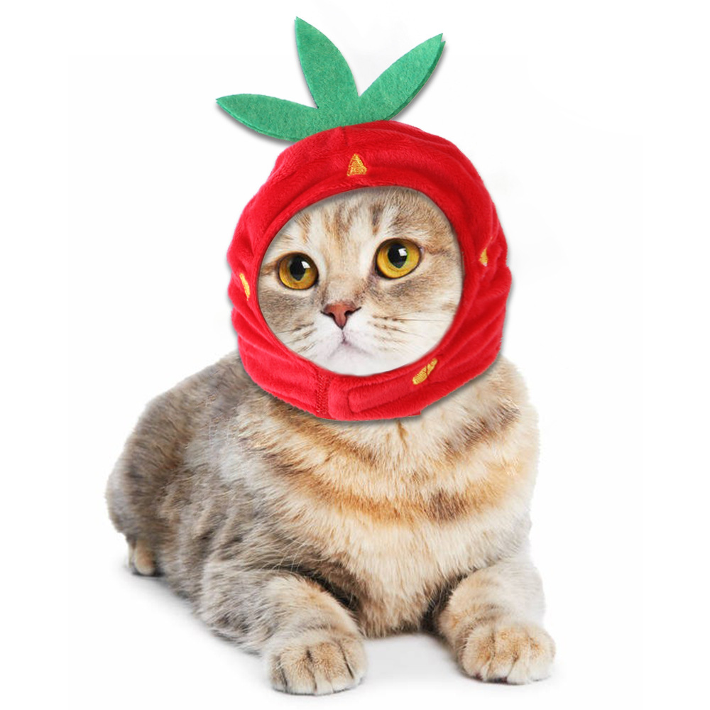Custom Cat Strawberry Hat