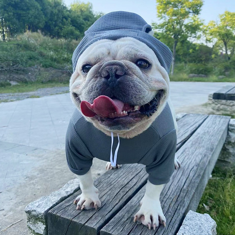 Custom Pet Shirt Suit
