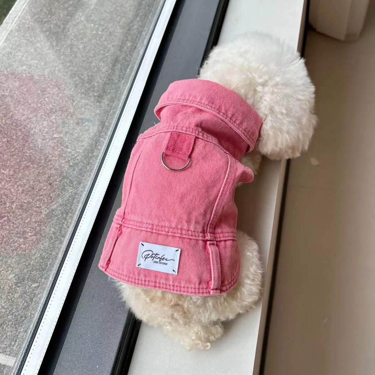 Cute Pet Denim Vest