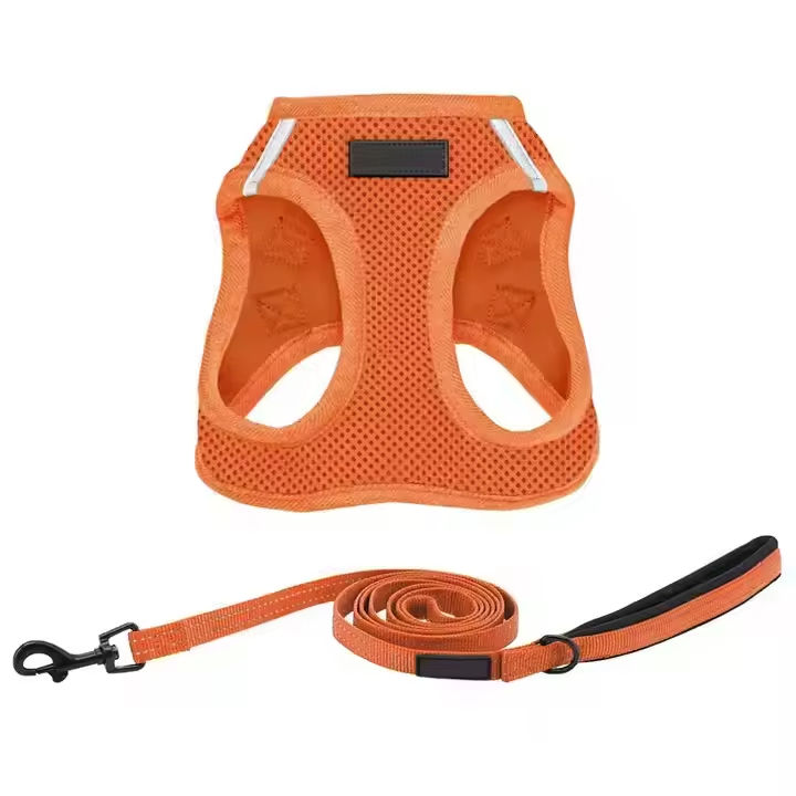 Custom Pet Harness Set