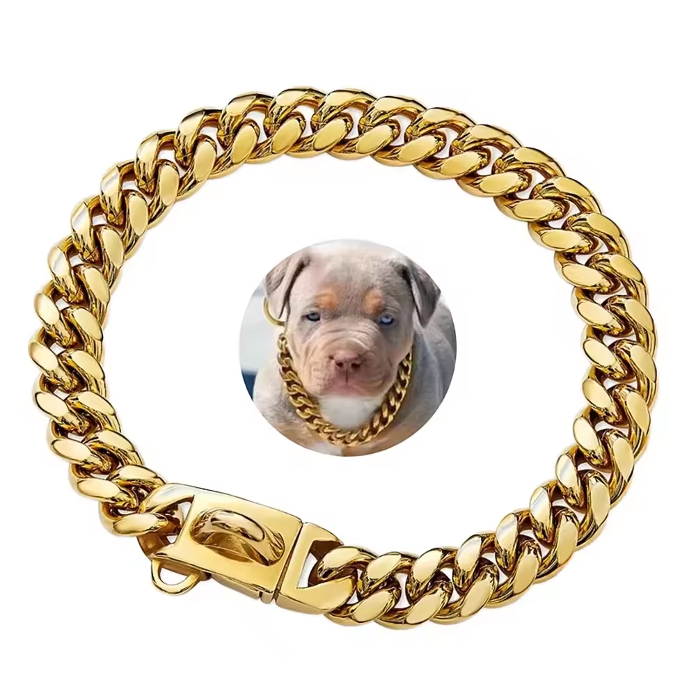Custom Steel Dog Collar