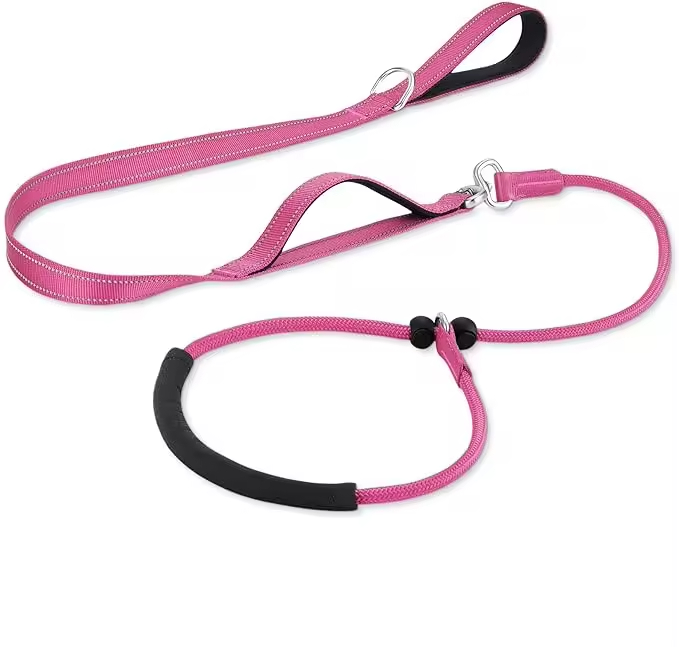 Custom Outdoor Dog Collar