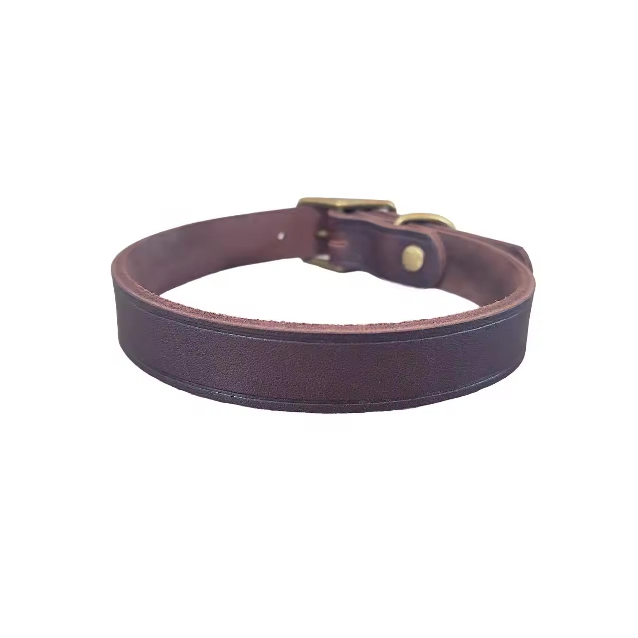 Custom Solid Pet Collar