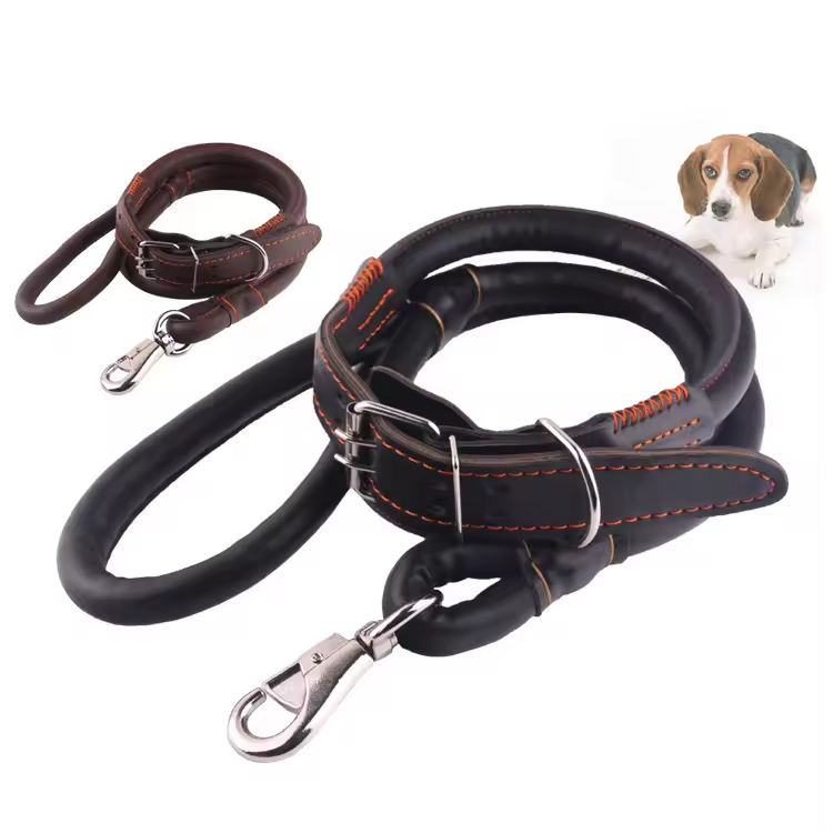 Custom High Quality Pet Collar