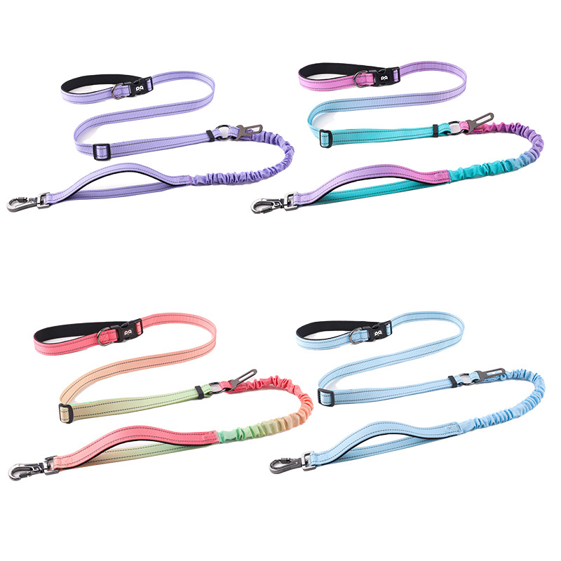 Custom Pet Running Leash