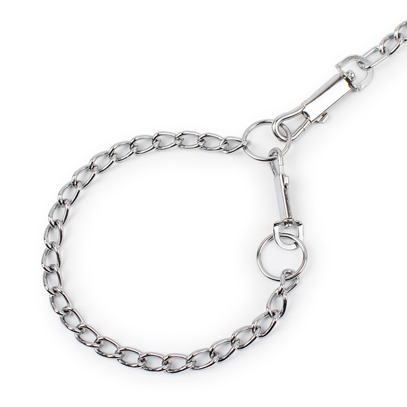 Dog Stainless Steel Leash