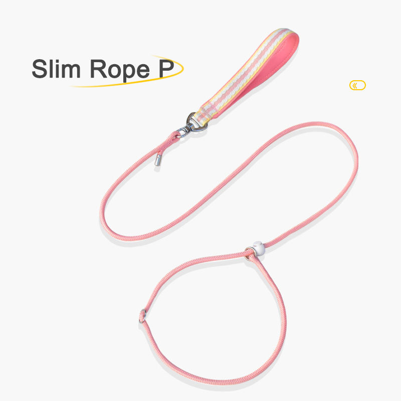 Training Dog Walking Leash