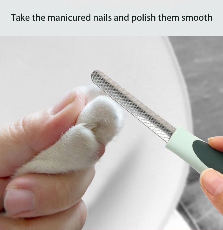 Custom Pet Grooming Kit