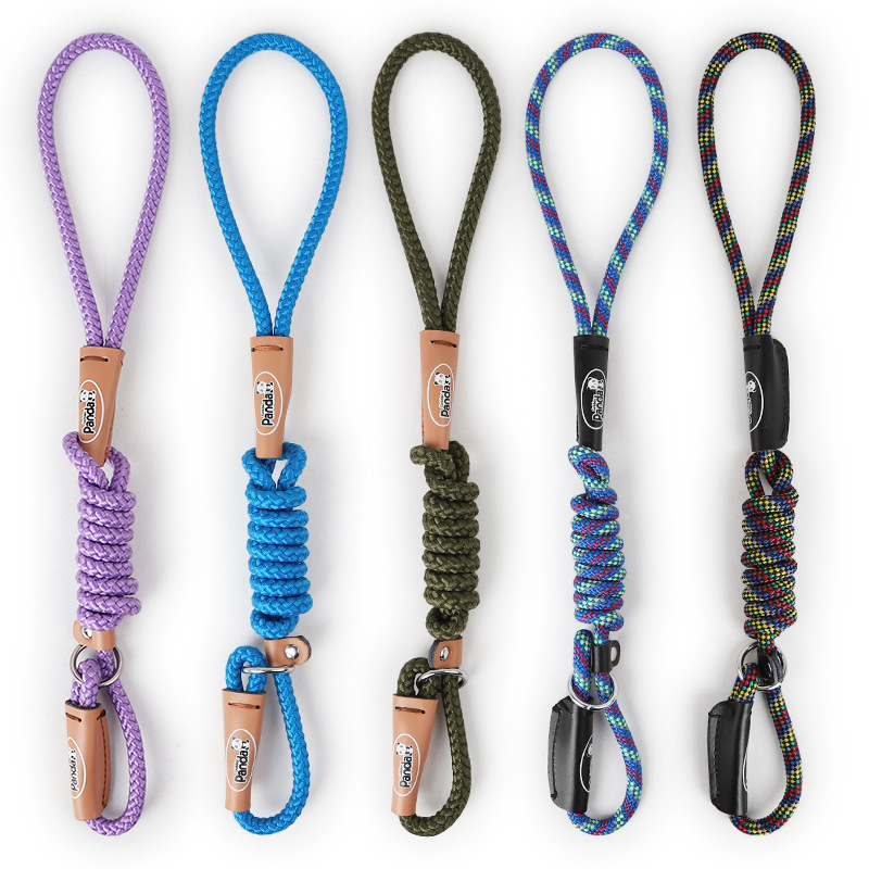 Custom Dog Nylon Leash