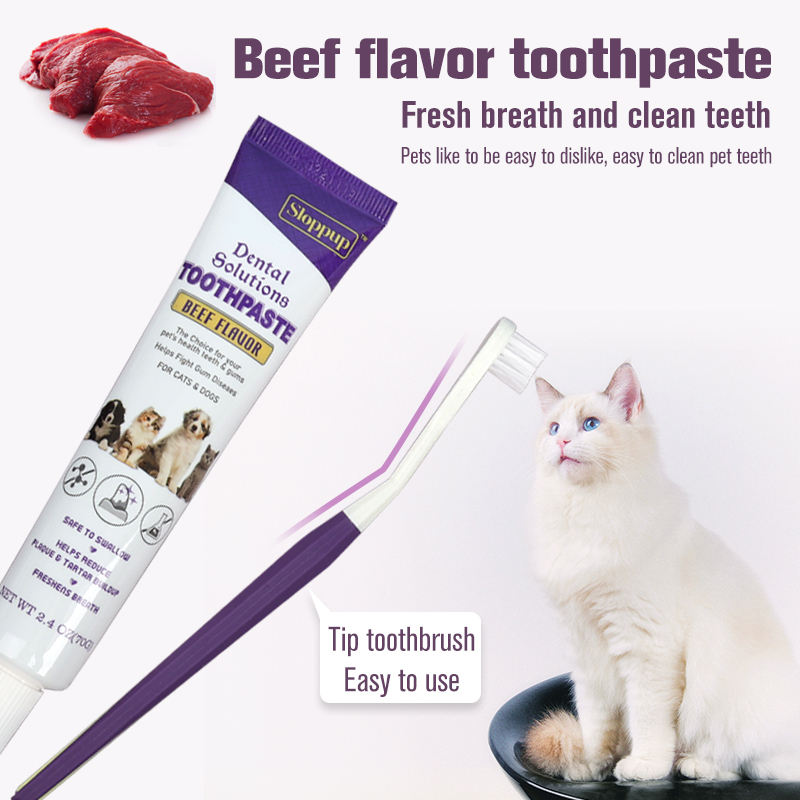Wholesale Dog Cleaning Toothbrush