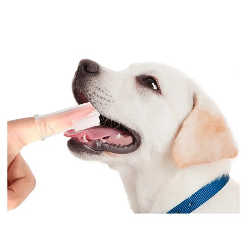 Cat Finger Sleeve Toothbrush