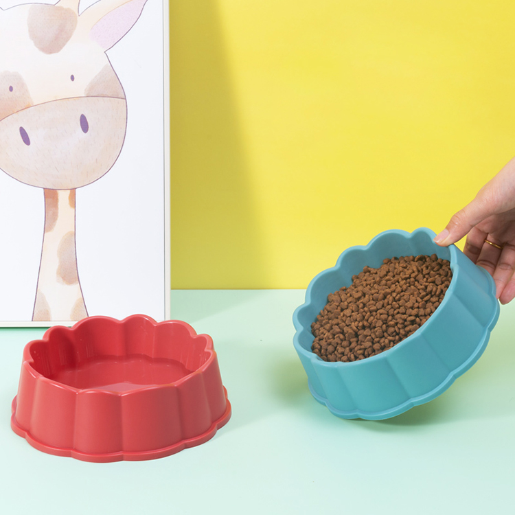 Custom Dog Feeding Bowl