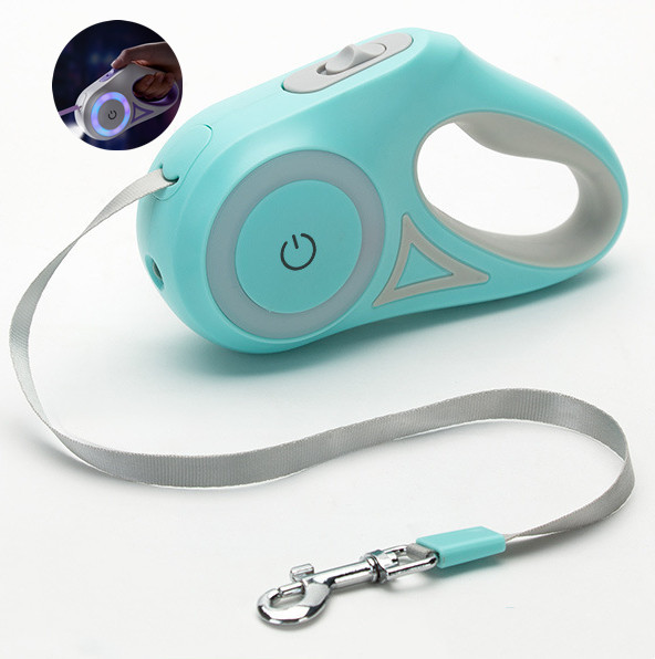 Custom Dog LED Leash