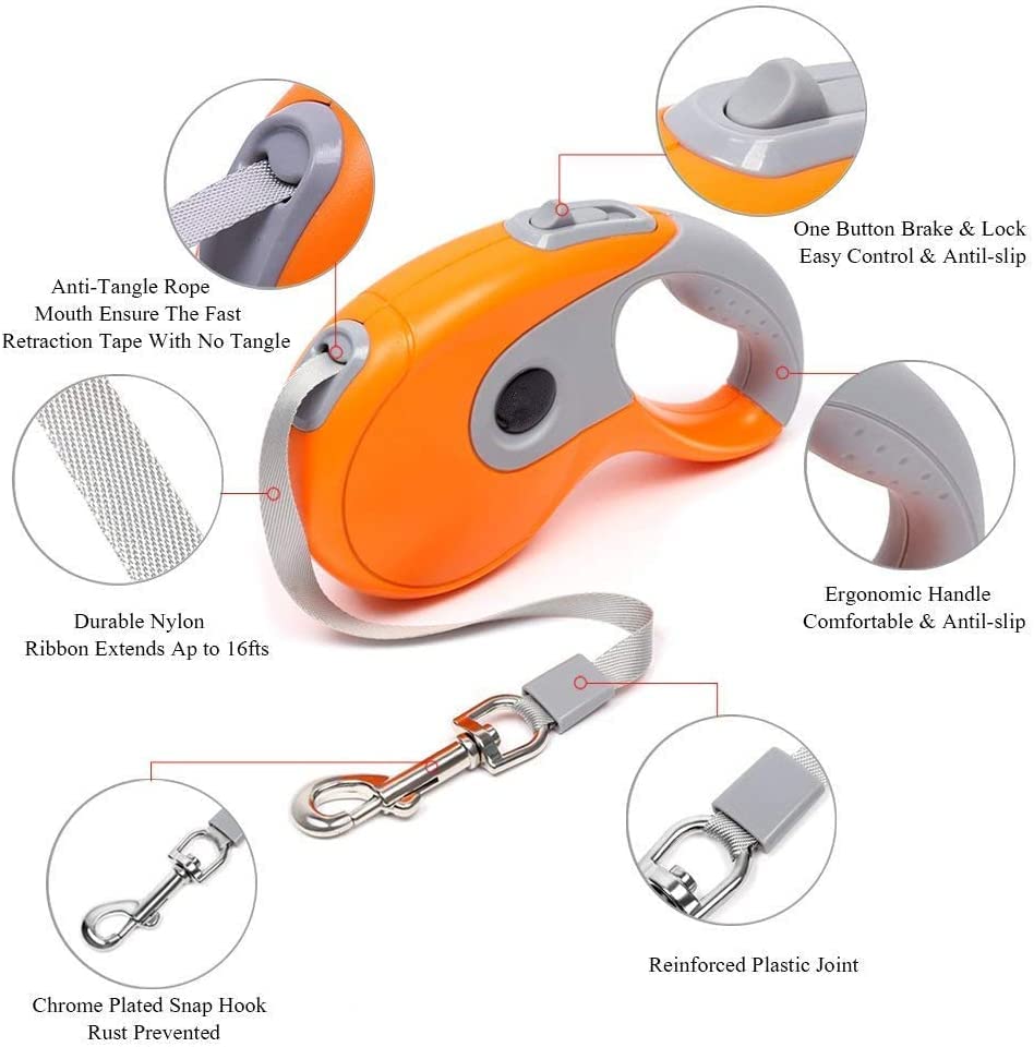 Double Dog Roulette Leash