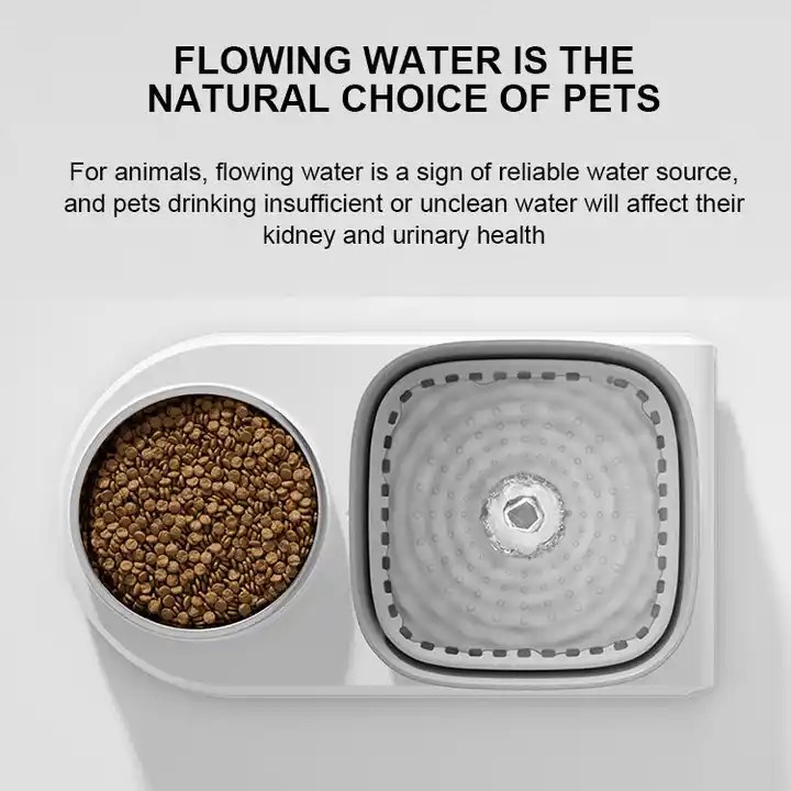 Custom Cat Food Feeder