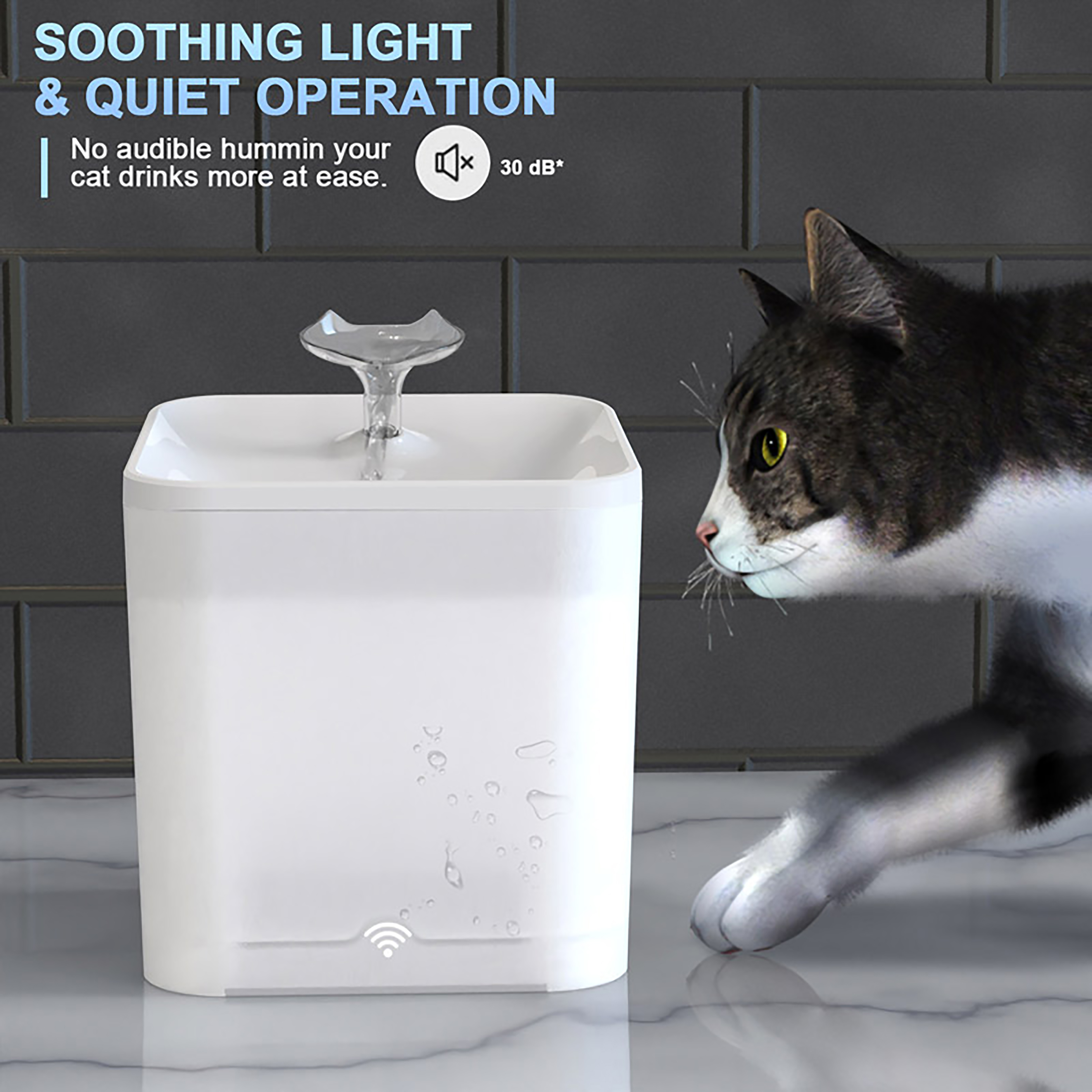 Automatic Pet Water Dispenser