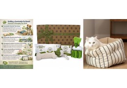 Building a Sustainable Pet Brand: Materials & Messaging That Work