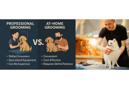 Comparing Professional Grooming vs. At-Home Grooming: Pros & Cons