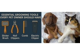 Essential Grooming Tools Every Pet Owner Should Have