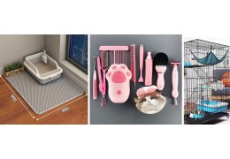 Exporting Pet Products to the US: Compliance & Packaging Tips
