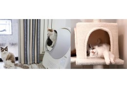 How to Choose a Cozy Hideaway for Cats