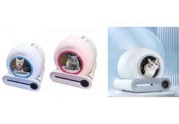 How to Choose the Right Litter Box for Your Cat