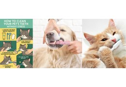 How to Clean Your Pet’s Teeth Without Stress