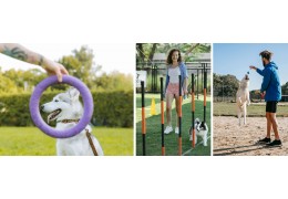 How to Train Your Pet for Outdoor Adventures