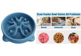 Feeding Time Innovations: From Smart Bowls to Slow Feeders