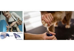 The Importance of Nail Trimming for Dogs and How to Do It Safely