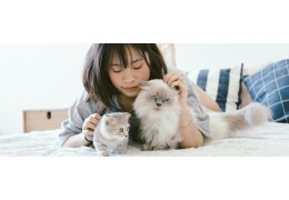 Understand the cat language and make them happy