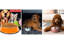 Why Stainless Steel Bowls Are Better Than Plastic for Pets