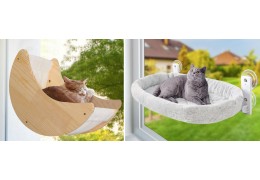 Why cat window perch is so popular?