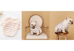 Seasonal Pet Apparel: Trends for Winter 2026