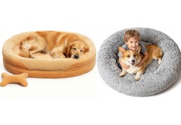 How Recycled Fabrics Are Reshaping Pet Beds & Toys in EU Retail (2026 Guide)