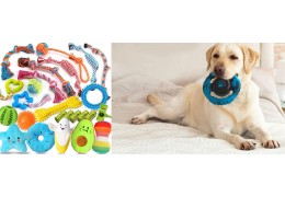 Chew Toys & Durability: What Retailers Must Know