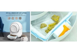 How to Clean and Disinfect Your Cat’s Litter Box